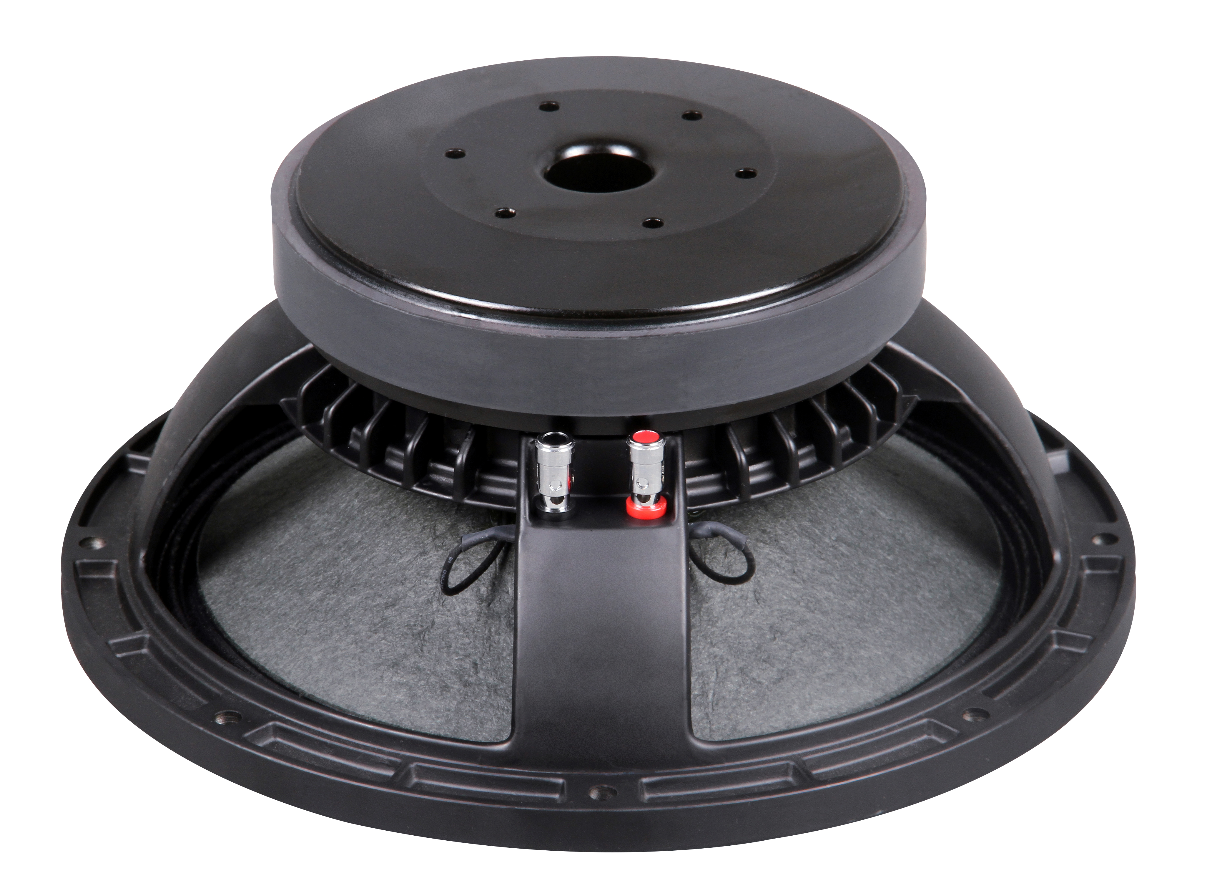 PL1065C 10 inch Ferrite Woofer